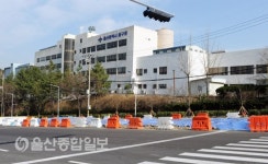 울산 중구, 구청지하차도 녹색교통섬 조성