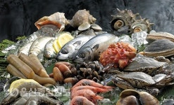 바이러스 이기는 면역력 높이는 음식 8가지