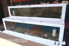 복순횟집 | [명품울주 맛집멋집을 찾아라]'나사마루' 해신탕이면 원기회복과 체력보충을 한번에~