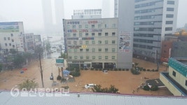 태풍 차바에 울산서 구조 중이던 119 소방대원 실종