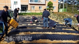 울산시설공단 나눔봉사대, 수연재활원 텃밭 조성