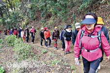 역사가 살아 숨쉬는 학성 역사체험 탐방로