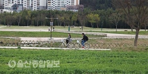 꽃, 강, 숲 자연 즐기는 태화강십리대숲