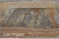 울산박물관, 약사동제방유적전시관 개관