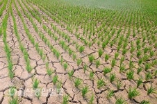 울산시상수도사업본부, 장기가뭄대책 관련기관 회의 개최