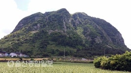 떠나요 둘이서 제주도 푸른 밤 그 별 아래