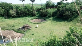 떠나요 둘이서 제주도 푸른 밤 그 별 아래