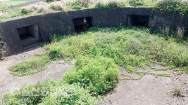 떠나요 둘이서 제주도 푸른 밤 그 별 아래