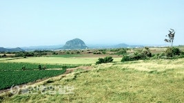 떠나요 둘이서 제주도 푸른 밤 그 별 아래