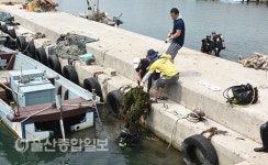 경주시 양남면, 진리항 해양환경정화로 쾌적한 어항환경 조성