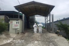 양산시, 산란계 농장 25농가 103만 수 출하 중지