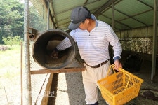 살충제 계란 공포에 귀암농원으로 몰리는 소비자들