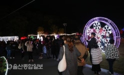 영남권 최대 규모 제2회 울산대공원 장미원 빛 축제  성황리 개최