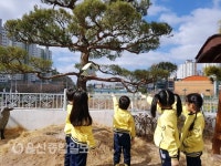 울산시설공단, 초등학교 등에 야생조류 새집 설치