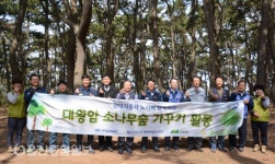 현대차 노사, 대왕암공원 소나무 숲 가꾸기 봉사 진행