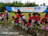 태화강생태관, 어린황어 20만 마리 방류