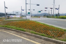 경주시 읍면동, 아름다운 경주 만들기 한창