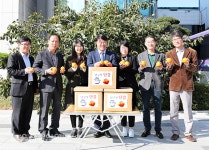 울산 남구, 청사 단감 500개 복지시설 전달