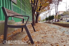 울산 동구, 주요 공원과 도로 낙엽길 등장