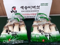 경주 새송이 버섯, 최대 물량 홍콩 수출길 올라