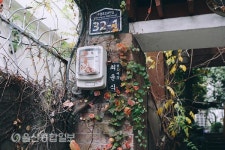 대학로 속, 그때 골목을 옮겨놓다 대연동 문화골목