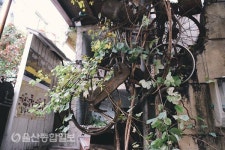 대학로 속, 그때 골목을 옮겨놓다 대연동 문화골목