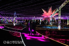별빛, 꿈을 그리다 울산대공원 빛 축제
