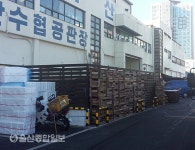 울산농수산물도매시장 오락가락 행정, 종사자 혼란가중