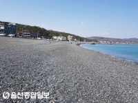 새봄과 함께 주전몽돌해변은 힐링의 최적지