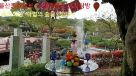 [울산종합일보] 제주명소탐방 - 유리의 성 마법의 숲을 찾아서
