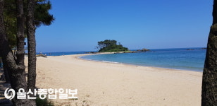 평온한 6월의 진하해수욕장