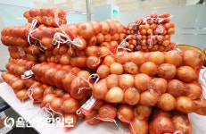 BNK경남銀, 영업점에서 오늘은 양파DAY 실시
