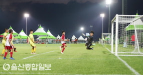 경주시, 2019화랑대기 전국 유소년축구대회 12일간 열전 성황리 마무리