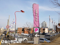 울산 중구, 추석 공영주차장 무료 운영