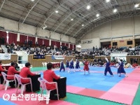 2019 전국 태권도 페스티벌 색다른 태권체조