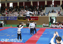 ‘2019 전국 태권도 페스티벌’ 박력 넘치는 격파 시범