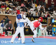 2019 전국 태권도 페스티벌 승리의 발차기