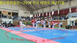 [울산종합일보] 2019전국태권도페스티벌 -  부문 3 덕신호랑이태권도장