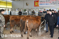 주낙영 경주시장, 신년 가축시장 찾아 현장밀착 행정 실시