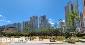 울산 남구, 청솔초등학교 내 11번째 명상숲 준공 완료