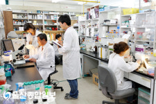 울산대, 대학 연구력 국내 5위