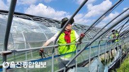 울산농협, 웅촌면 태풍 피해 농가 방문해 시설하우스 일손지원