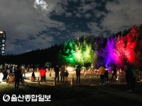 힐링 가득한 가을 축제, ‘제4회 2020 에코힐링! 태화강 대숲한마당’ 성료