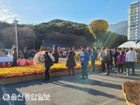 양산시, ‘2020양산국화전시’ 성황리 종료
