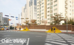 울산 남구, 2020년 어린이 보호구역 횡단보도 옐로카펫 설치 마무리