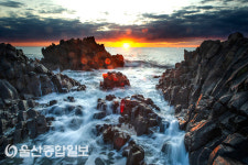 울산 북구, 명촌억새군락지 등 북구 12경 최종 선정