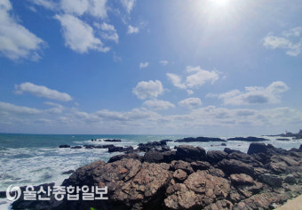 울산 낮 최고기온 15도...일교차 커
