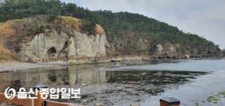 포항 하선대 선바우와 먹바우, 힌디기(포항 12경)