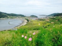 단풍놀이 대신 청산도 어촌체험 어때요