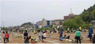 목포시 삼향동 주말농장 가꾸세요